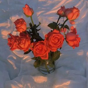 海南裸休美女撒尿露脸视频
